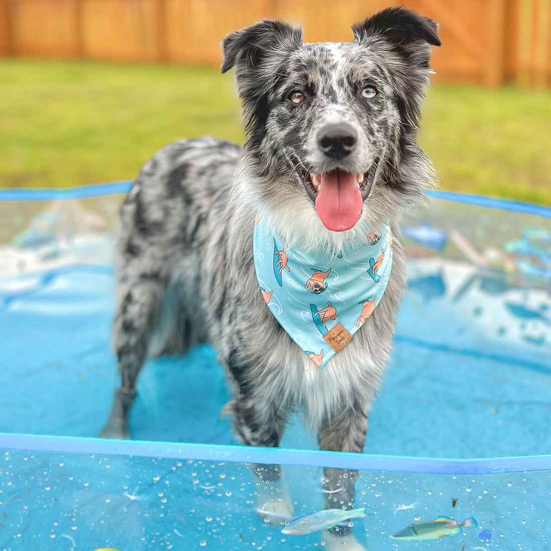 Quick Dry Seaside Adventure Bandana