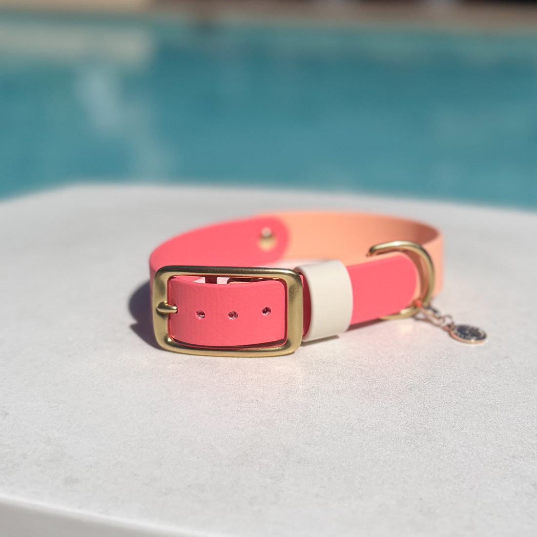 Two-Tone Waterproof Classic Buckle Dog Collar