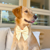 Limoncello Sailor Bow