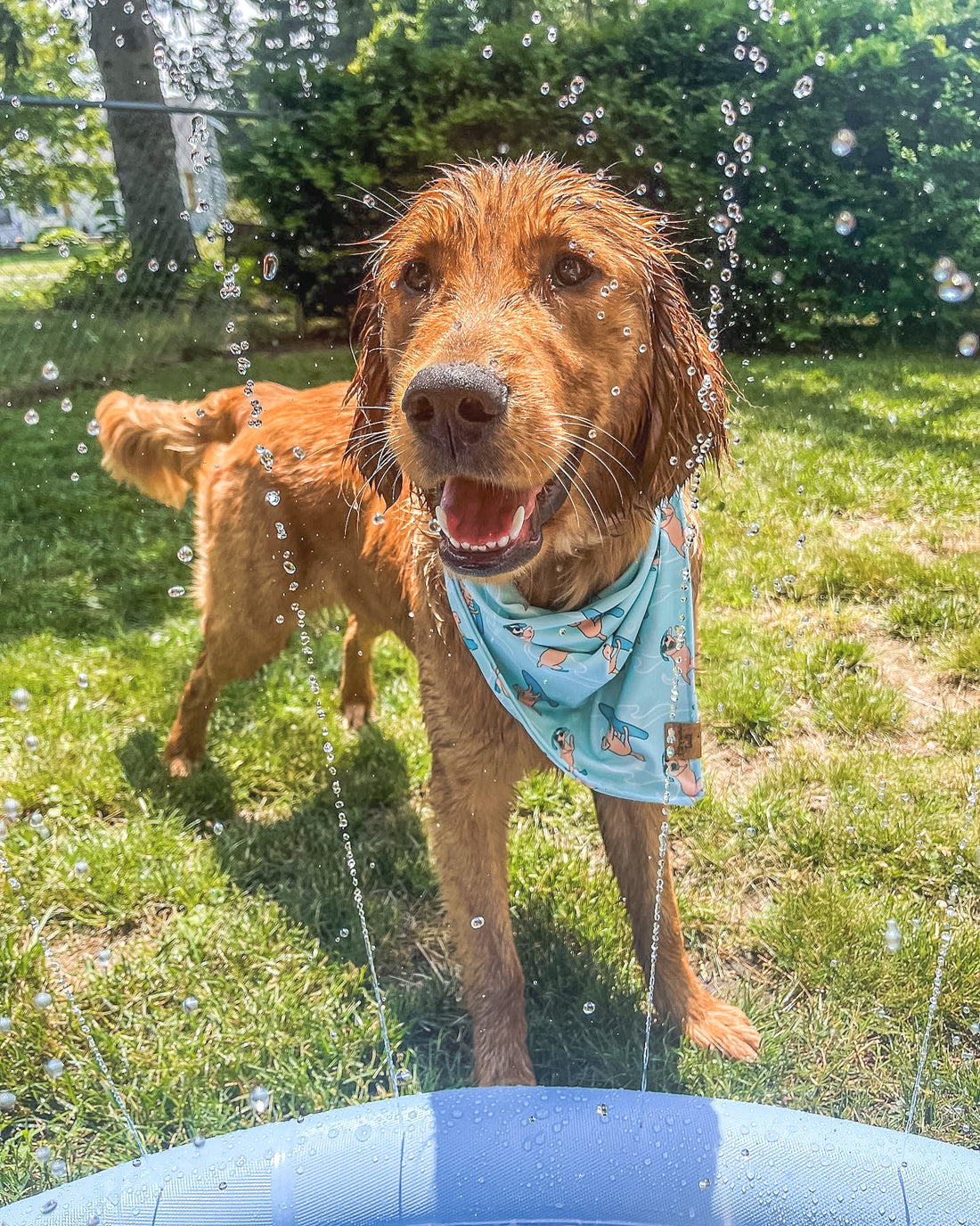 Quick Dry Seaside Adventure Bandana