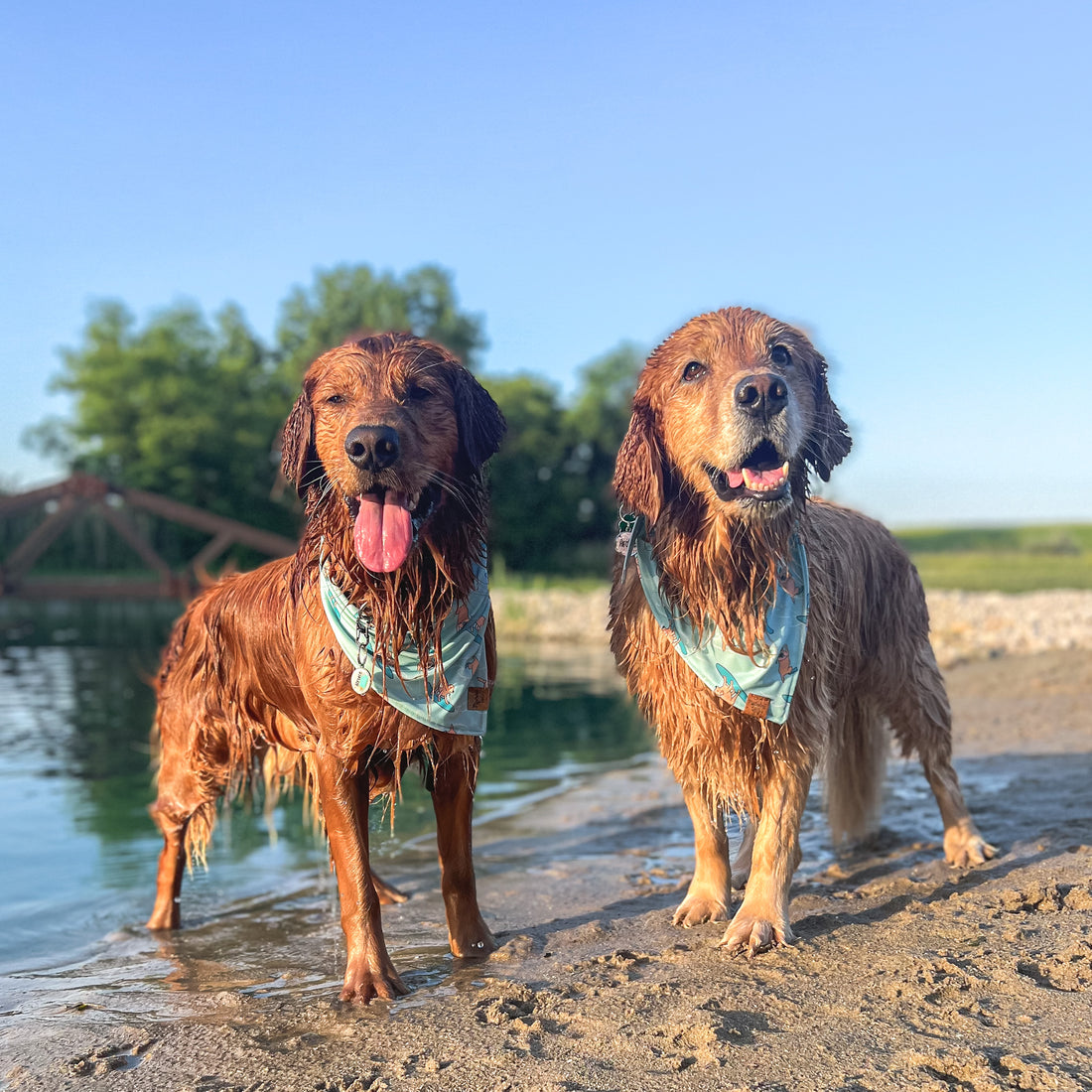 Quick Dry Seaside Adventure Bandana