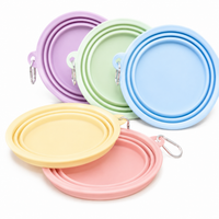 Collapsible Travel Bowl