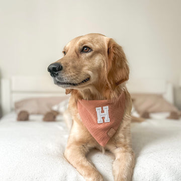 Caramel Letterman Bandana