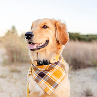 Honey Plaid Flannel Bandana