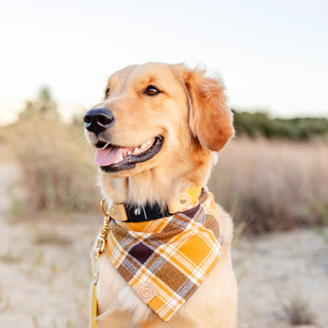 Honey Plaid Flannel Bandana