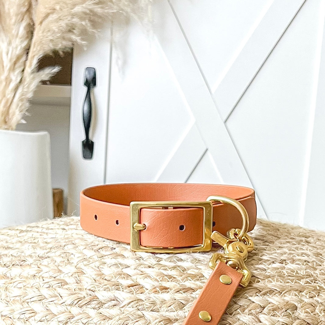 Classic Buckle Dog Collar