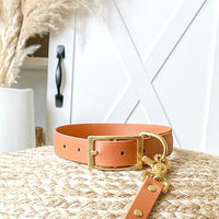 Classic Buckle Dog Collar