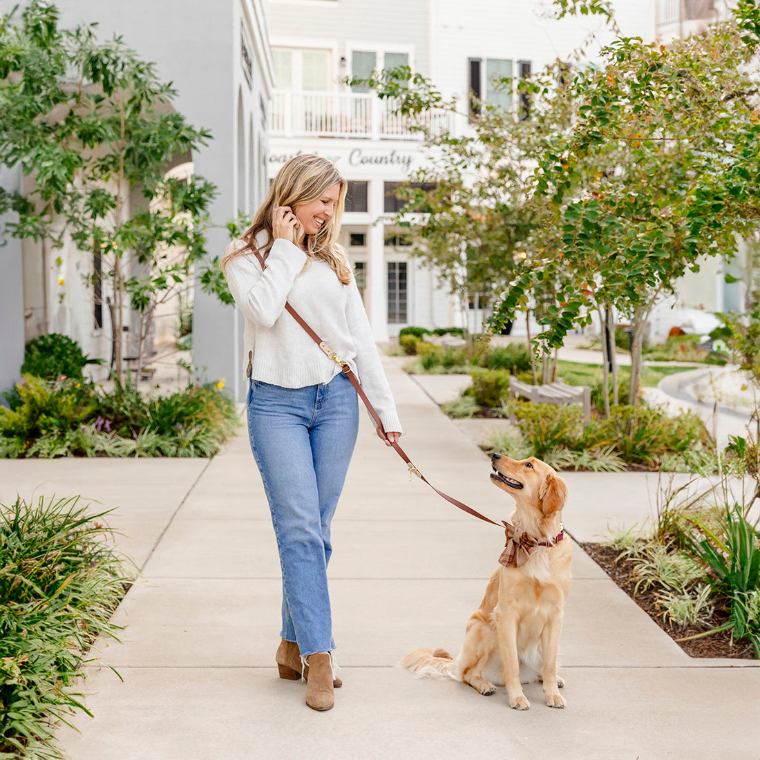 Two-Tone Hands-Free Waterproof Dog Leash