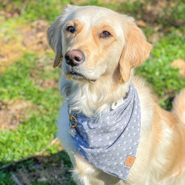 Meadow Bloom Bandana