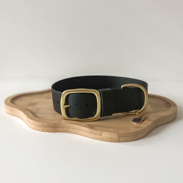 1.5" Waterproof Classic Buckle Dog Collar