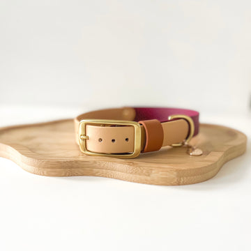 Two-Tone Waterproof Classic Buckle Dog Collar