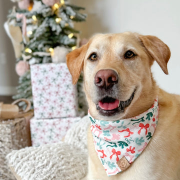 Christmas Bows Bandana