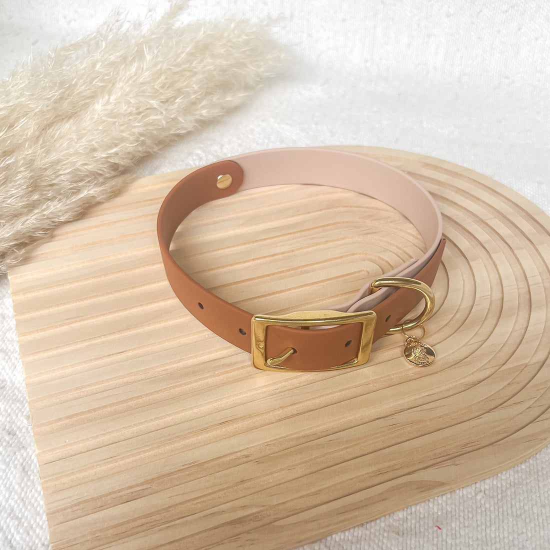 Two-Tone Classic Dog Collar