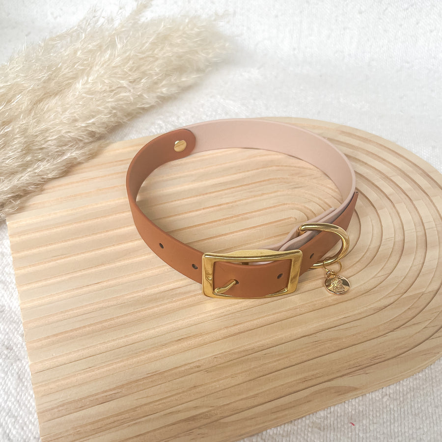 Two-Tone Classic Buckle Dog Collar