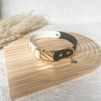 Two-Tone Waterproof Non-Adjustable Quick Release Collar