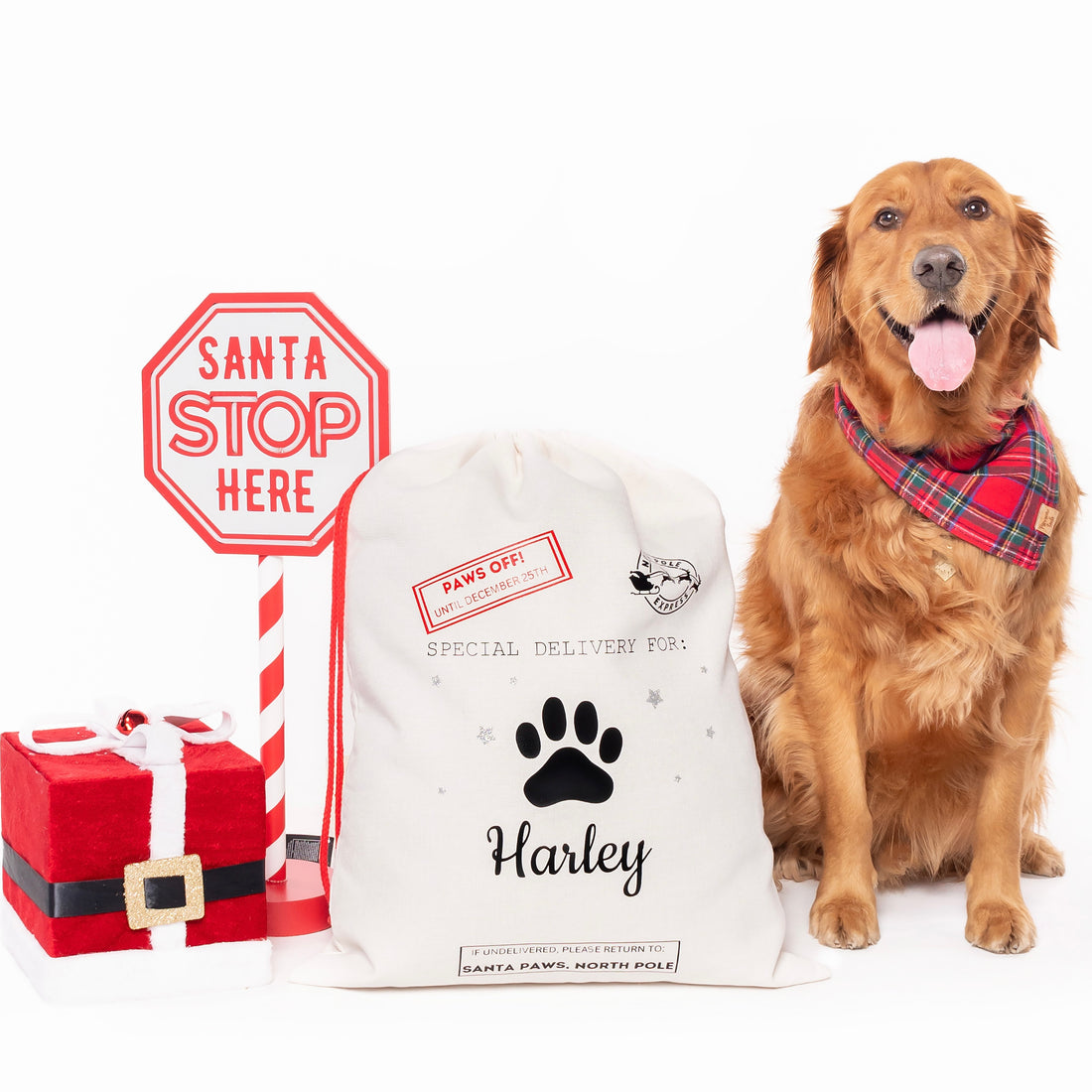 Christmas Magic Plaid Flannel Bandana