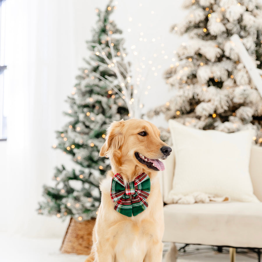 Evergreen Plaid Flannel Sailor Bow