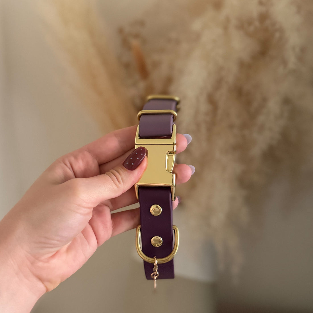 Two-Tone Waterproof Adjustable Quick Release Dog Collar