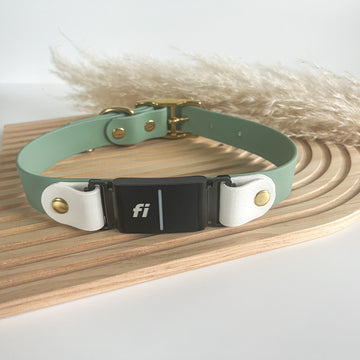 Fi Compatible  Waterproof Classic Collar