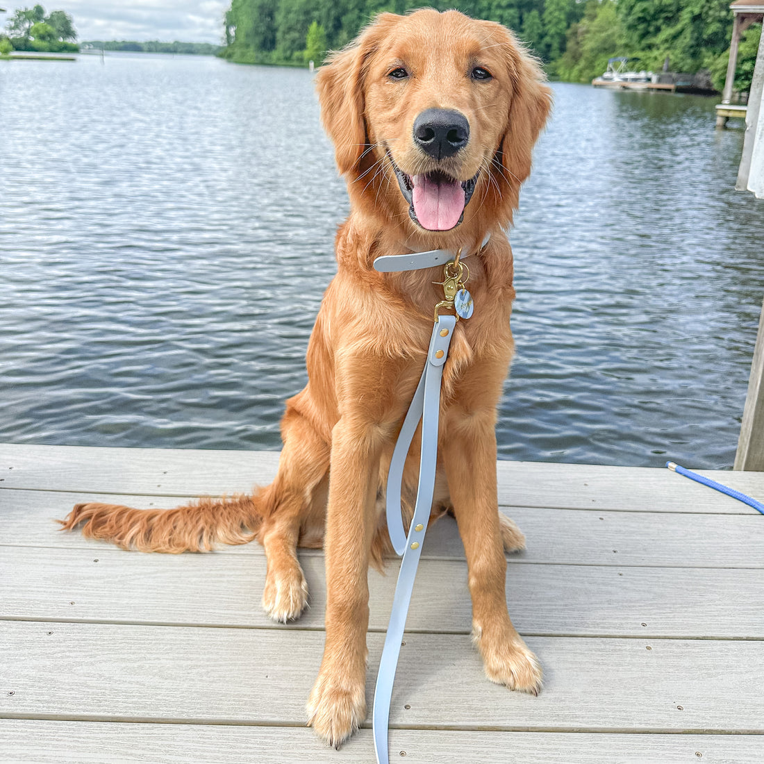 Standard Waterproof Dog Leash