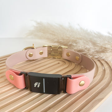Fi Compatible Waterproof Non-Adjustable Quick Release Collar