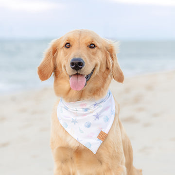Shimmering Shores Bandana