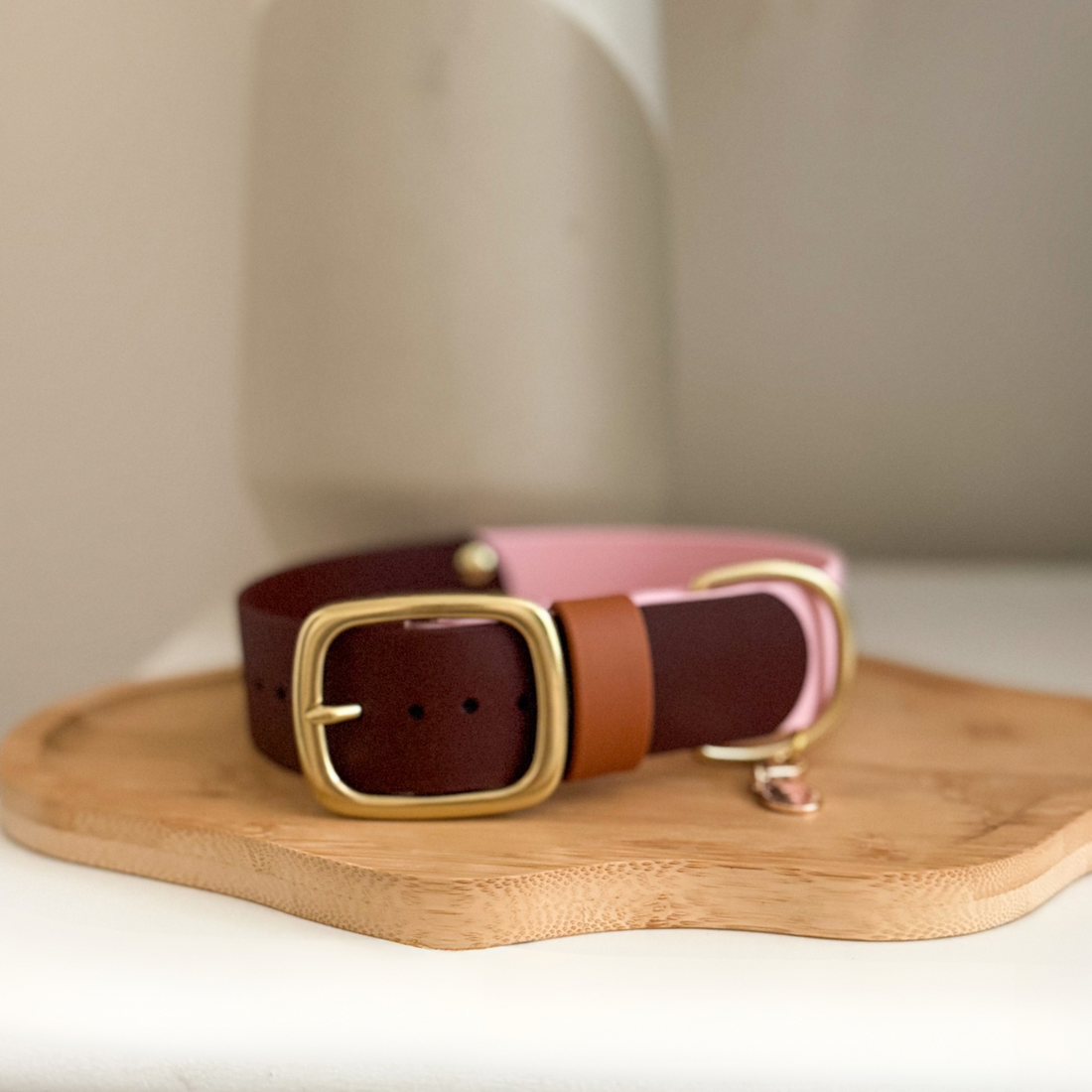 1.5" Two-Tone Waterproof Classic Buckle Dog Collar