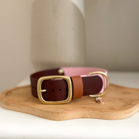 1.5" Two-Tone Waterproof Classic Buckle Dog Collar