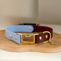 Two-Tone Waterproof Non-Adjustable Quick Release Dog Collar