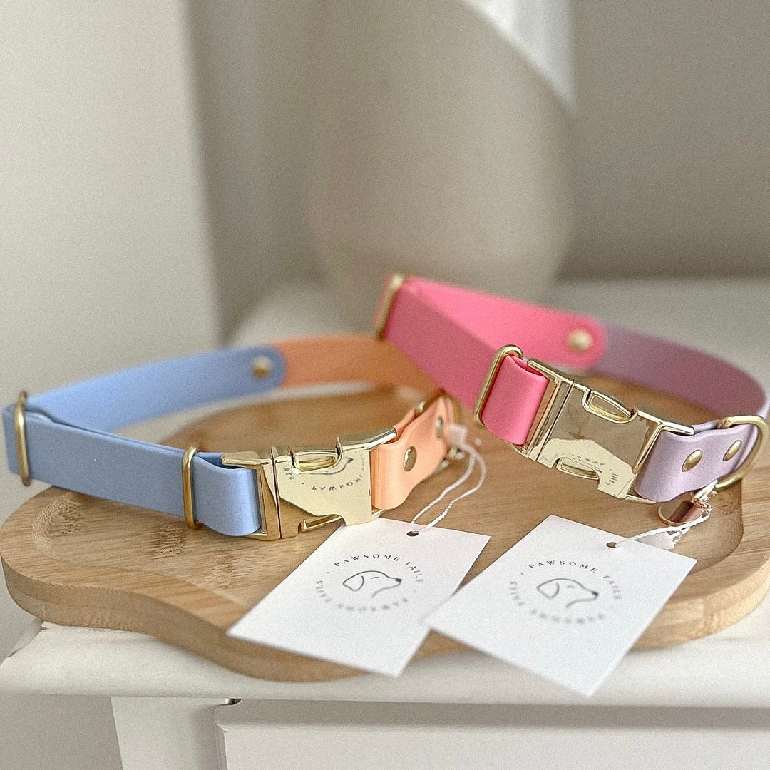 Two-Tone Waterproof Non-Adjustable Quick Release Collar