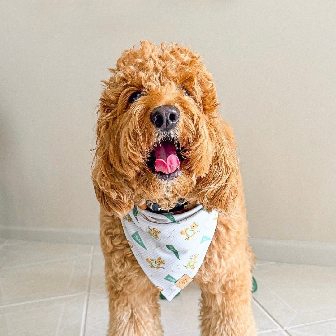 Birdie Club Bandana