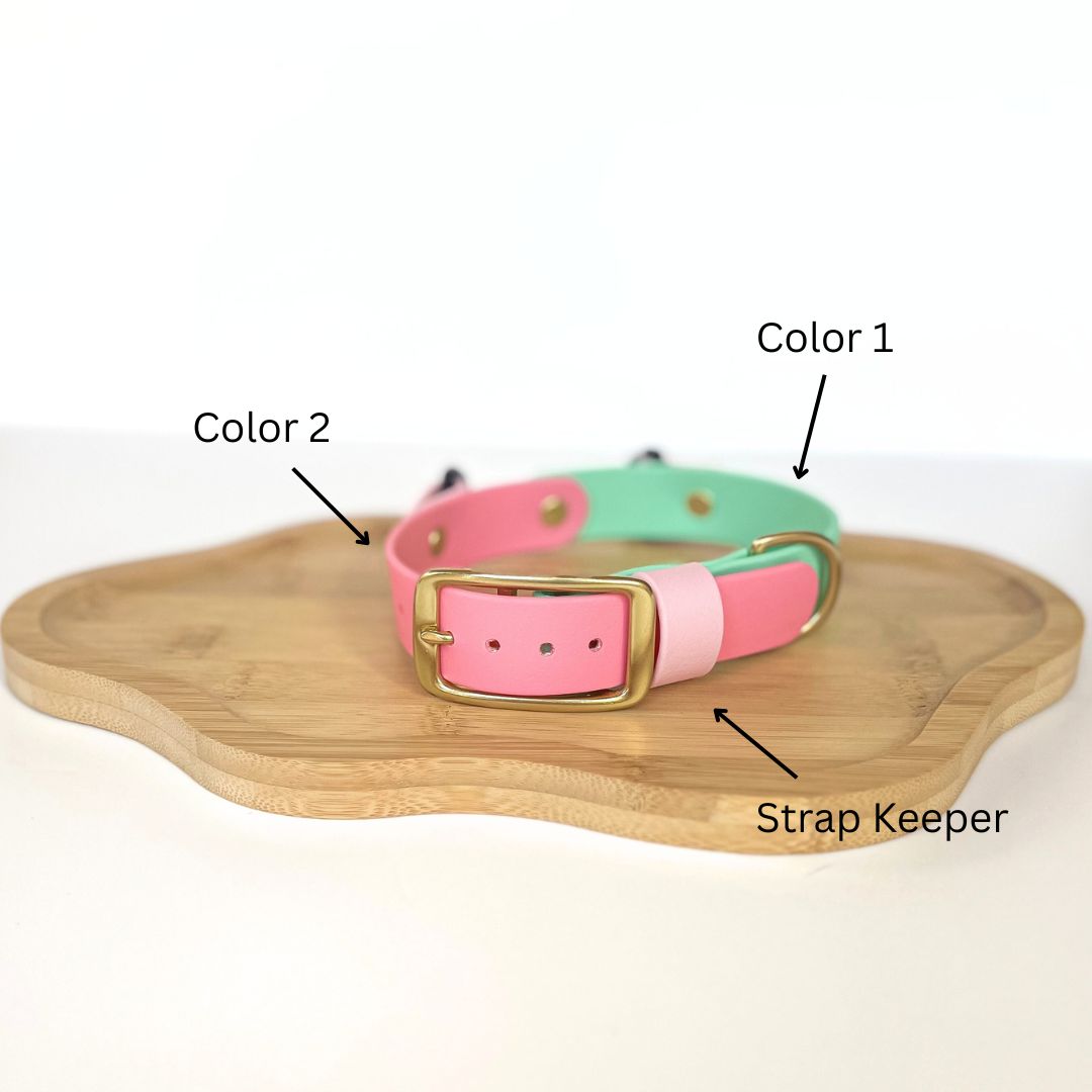 Fi Compatible  Waterproof Classic Collar