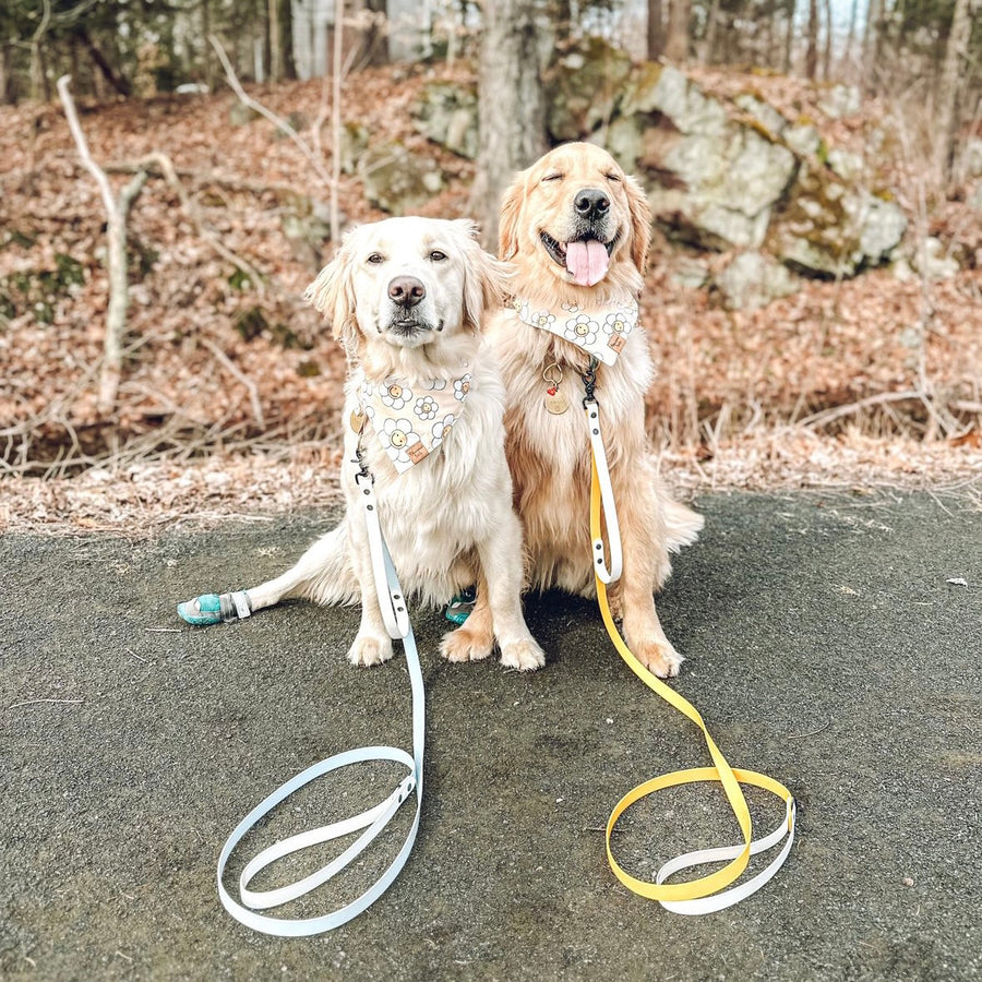 Two-Tone Waterproof Dog Leash
