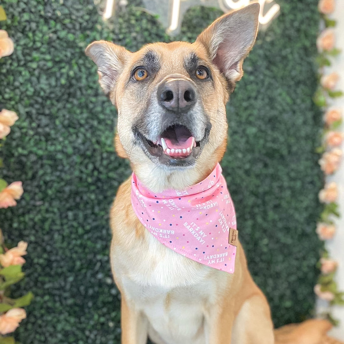 BarkDay Pink Bandana
